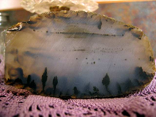 A slice of agate appears to present a late afternoon forest scene.