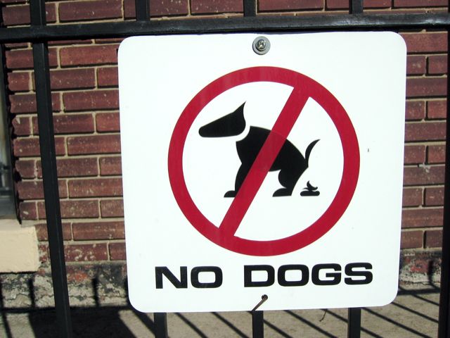 A self-explanatory but notably graphic sign seen near the Braddock Street metro station in Alexandria, Virginia.