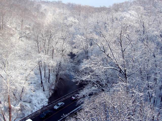 A thick layer of snow blanketed Rock Creek Park last Tuesday—for about six hours.