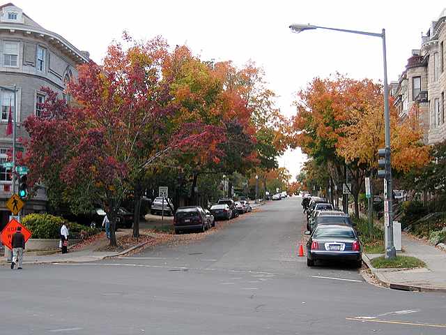 A view up S Street NW from Connecticut Ave. last week.