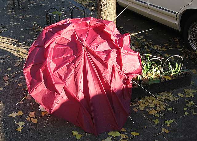 An umbrella left on the street after giving up the ghost.