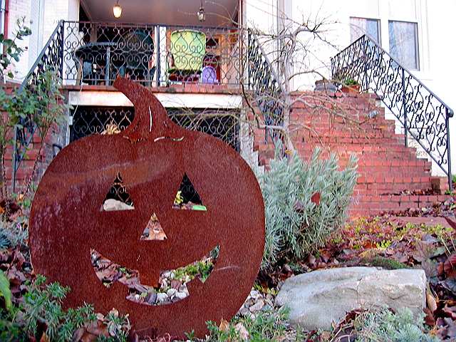 The same pumpkin and a leafless tree yesterday.