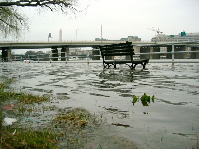 A park bench sits half-submerged on Ohio Drive near the 14th Street Bridge.