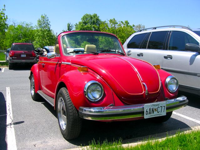When I lived in California several years ago I'd see old Beetles all the 