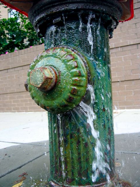 A D.C. fire hydrant leaking all over the sidewalk and street.