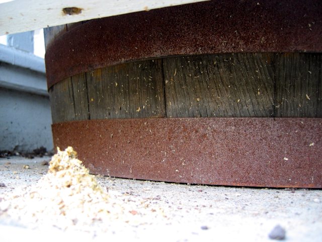 Sawdust from a wood-boring bee on our landlord's porch.