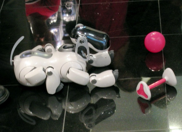 A Sony Aibo robot decides it doesn't want to play with its toys.