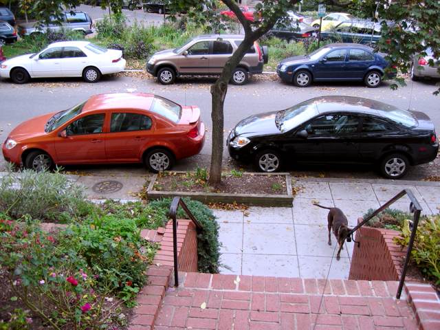 Our Chevy Cobalt Sedan sits parked in front of a Cobalt Coupe.