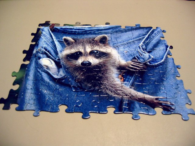 A racoon hangs in a pair of pants in this small puzzle.