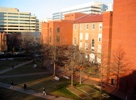 The law school sits on the east side of the quad.