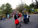 The crowd at the entrance to the zoo.