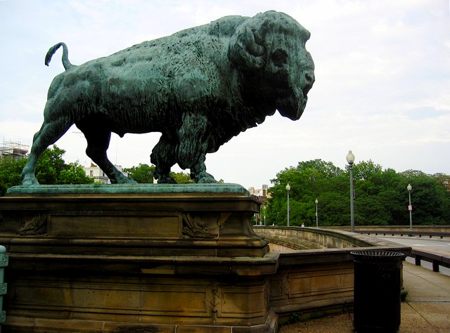 One  of the Bison statutes at one end of the Dunbarton Bridge on Q St.