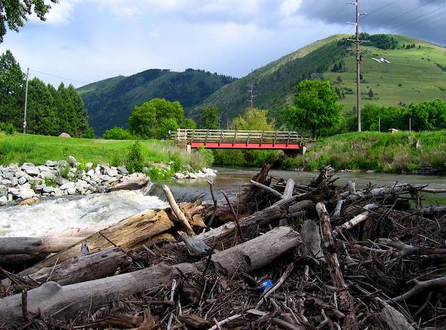 Driftwood piled at a bend in the Clark's Fork River near downtown Missoula.