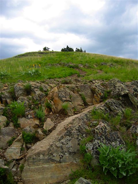 The top of Mt. Sentinel from the point where I turned around.