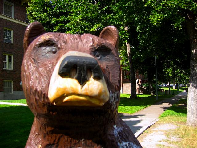 A bear sculpture on the University of Montana campus.