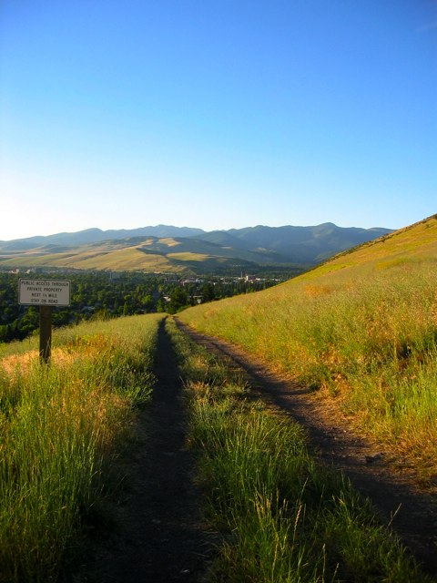 The Mt. Sentinel fire road as seen from a little ways up the mountain and looking down toward the U of M campus. 