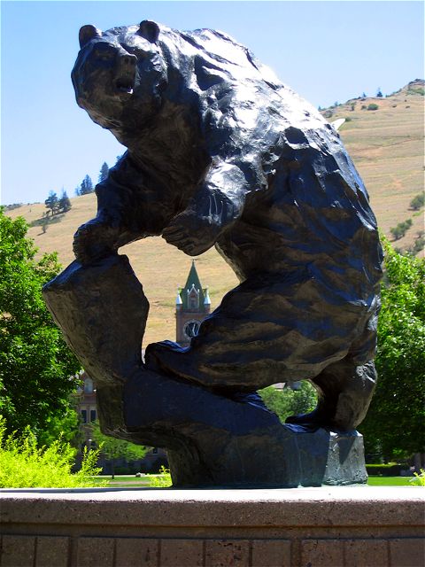 The preeminent grizzly statue on the University of Montana campus.