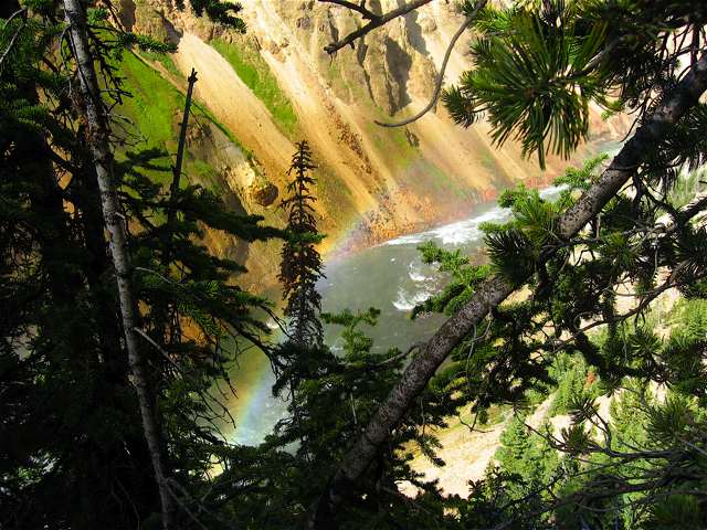 A rainbow shimmers in the mist of the Lower Falls.