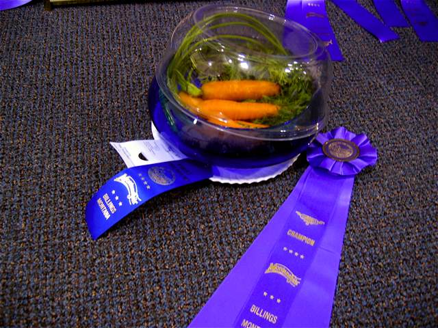 Award-winning carrots at the fair.