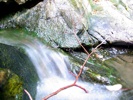 Falling water in the creek