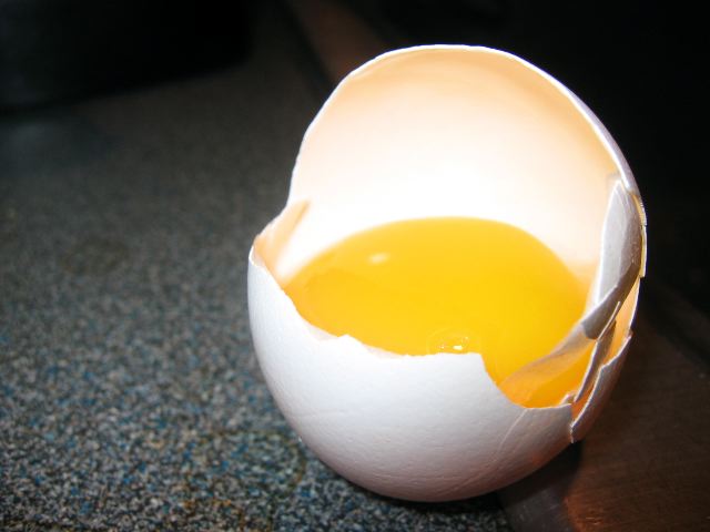 Yolk