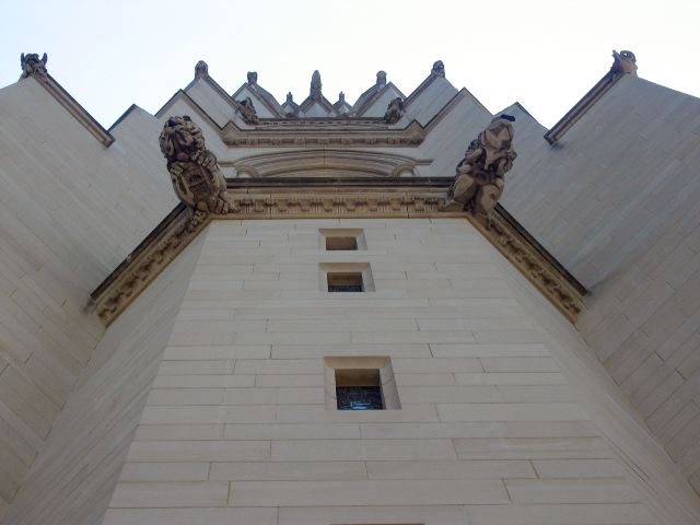 National Cathedral Gargoyle View